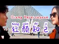 Hong Yan Zhi Ji  红颜知己  Lagu Mandarin Subtitle Indonesia - Lirik Terjemahan