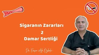 DAMAGES OF SMOKING 2 (How Does Atherosclerosis Occur?) - Dr. Ersen Alp Özbalcı