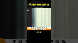 半路夫妻的恩怨情仇：愛恨交織的復雜關系 #案件調查 #懸案密碼 #懸案破解 #懸案調查 #大案