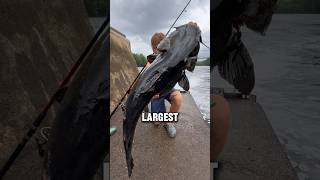 Real Life Spillway Monster!