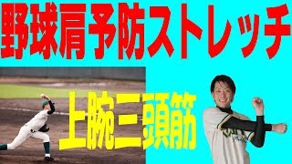 野球肩予防ストレッチ、その⑦上腕三頭筋『高崎市の整骨院 整体院 やまぐち鍼灸整骨院』