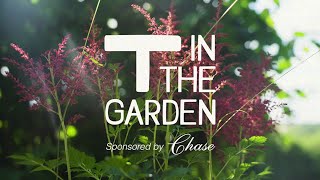 T in the Garden with Wilkinson