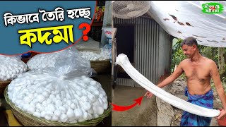 কিভাবে কদমা তৈরি করবেন | How to make Kodma | কদমা মিষ্টি বানাবেন কি ভাবে | How to make Kadma sweet