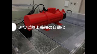 【アイエンター】アワビ陸上養殖の自動化※音声なし