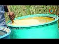 natural farming soil fertility management