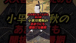 ⚠️これは作り話の可能性大　大大名になったのも束の間　小早川秀秋のあまりにも間抜けな最期　#戦国武将#戦国時代#歴史#shorts