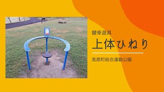 宮崎県高原町【総合運動公園】健幸遊具（３）：上体ひねり