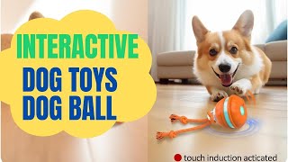 Best Interactive Dog Toys of 2025 🐾 Unboxing the Top Dog Balls! Dog Ball Review