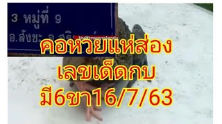 คอหวยแห่ส่องเลขเด็ด  กบแปลกมี6ขา  16/7/63