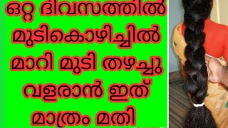 ഒറ്റദിവസത്തിൽ മുടികൊഴിച്ചിൽ മാറി മുടി തഴച്ചു വളരാൻ ഇത് മാത്രം മതി//Hair Pack Malayalam