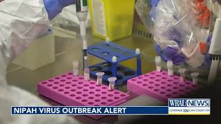 Outbreak of nipah virus has higher death rate than COVID. India says it is contained