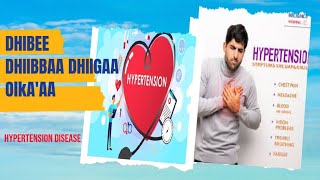 DHIBEE DHIIBBAA DHIIGAA Ol KA'AA | HYPERTENSION DISEASE.