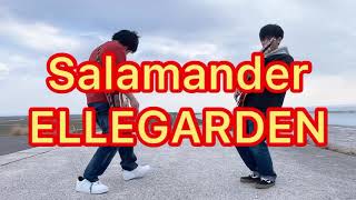 Salamander  ELLEGARDEN  ギター弾いてみた(Lyric)