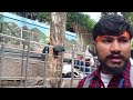 🚩vaishno devi track ep2⛳ 2025⛳