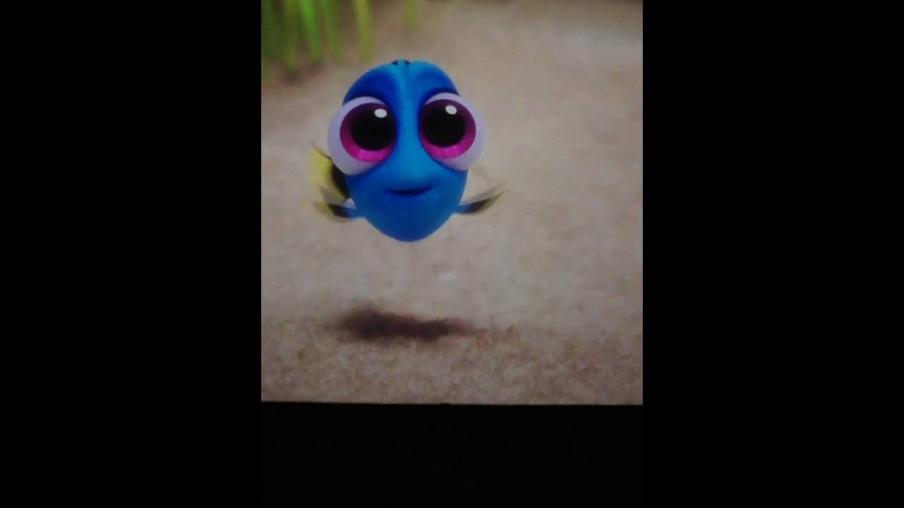 Finding Dory Opening Scene Youtube