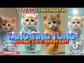 TANG TING TUNG VERSI KUCING 1 JAM TERBARU