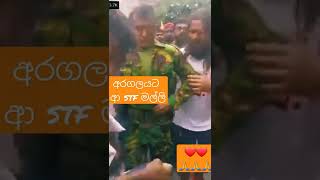 නිල ඇදුම් ගලවමින් ආ stf මල්ලි | අරගලය live | aragalaya | protest srilanka | #gallefacelive