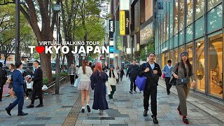 Tokyo Japan, Walk in Shibuya, Harajuku, Omotesando, Cat Street, Meiji-dori Avenue, Travel, 4K