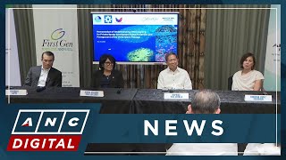 First Gen, ABS-CBN Corp. partner with PH gov't for protection of Verde Island Passage | ANC