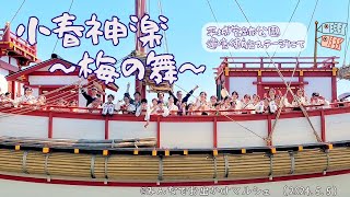 小春神楽～梅の舞～＠みんなでお出かけマルシェ（2024.5.5）平城宮跡歴史公園/遣唐使船ステージ