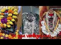 vindhyavasini maa ka panchamrut abhishek vindhyavasini maa