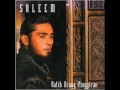 Saleem - Cinta Yang Aku Punya