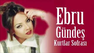 Ebru gündeş/ yakışıklı