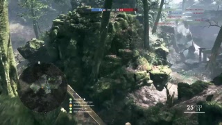 s.mikoの日常　BF１　少しだけ戦場に(*_*)