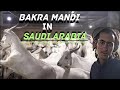 Goat Mandi 🐐2023 | Riyadh Saudi Arabia @vlogsbyaina15