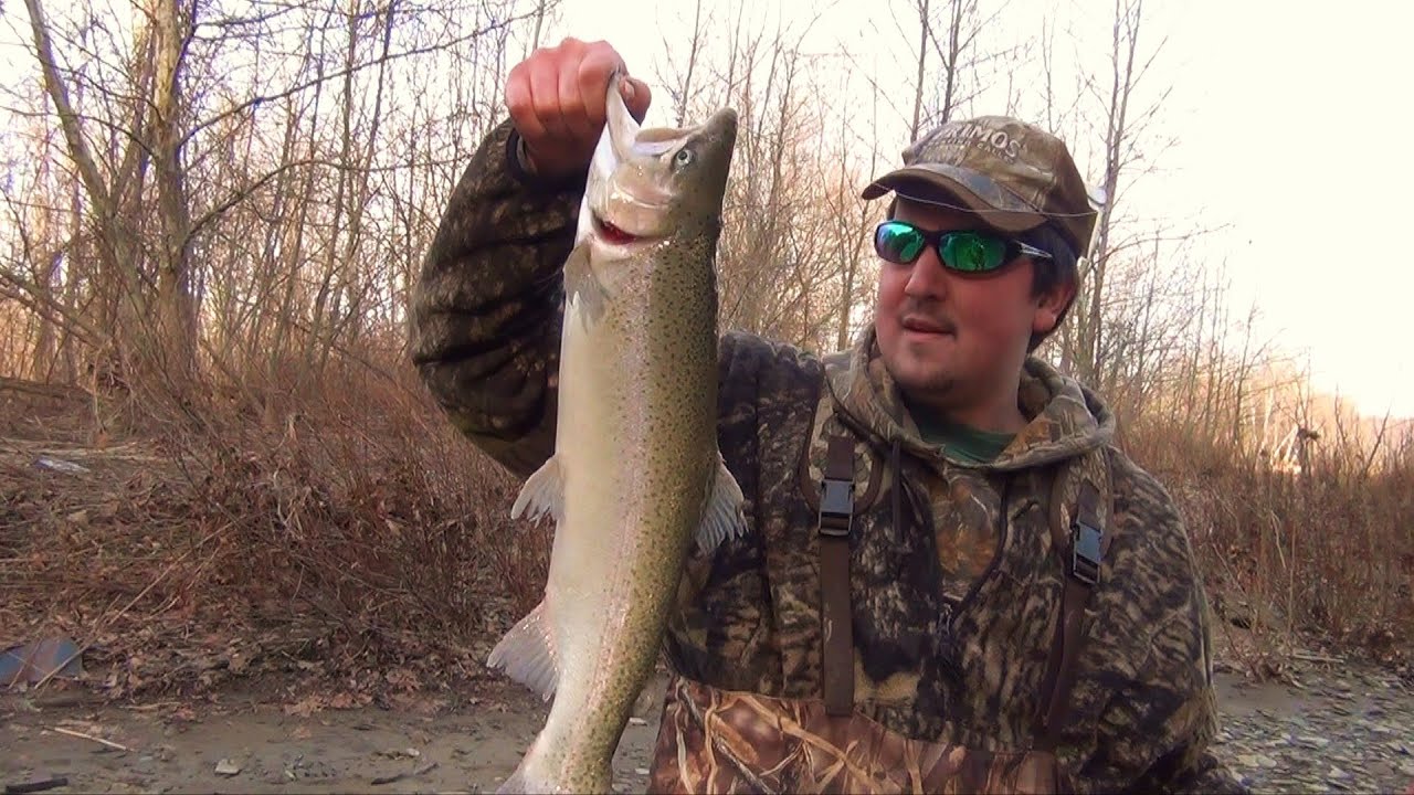 Steelhead Fishing Elk Creek 2012 Erie Pa - YouTube