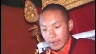 Karmapa The Lion Begins To Roar