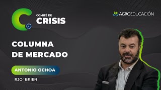 La Columna de Mercado de Antonio Ochoa - Comité de Crisis #211
