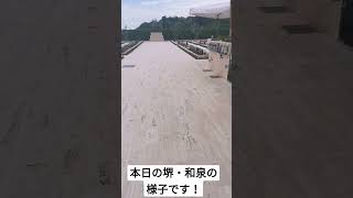 堺市 樹木葬 光明池駅近く #shorts