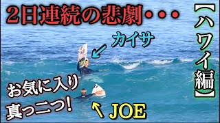 【2日連続悲劇】ジョーと朝一サーフィンしに行ったらまたもや悲劇が。。。