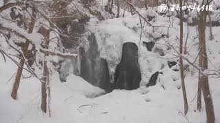 「錦見の滝」に氷の造形　鹿角市