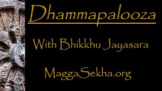 Dhammapalooza 12-4-23