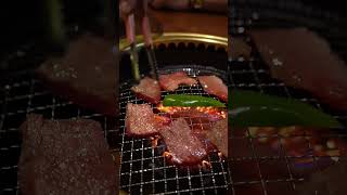 The Most Delicious Beef in Osaka: Wagyu and Kobe Beef