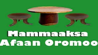 AS wr wb Akkam bultani jirtu kottame Mammaaksa Afaan oromo