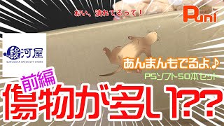 【福袋・前編】圧倒的な物量のPS福袋！駿河屋の実力とは！？あんまんは最近太る！【プレイステーション・PlayStation・PS・ジャンク・フェレット】