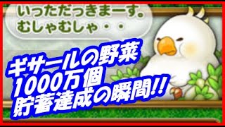 【FFRK】ギサールの野菜1000万個貯蓄達成の瞬間！【FFレコードキーパー】