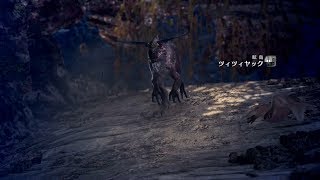 キャプチャーボードテスト動画（PS4）　1080p60fpsでモンハンワールドを実況してみた