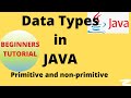 Data types in Java || Primitive data types in Java || Non-primitive data types || Hands on Java code