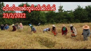 ငဝ်းလၢႆးၵၢၼ်ၸွမ်းလႅၼ်လိၼ် - 23/2/2022