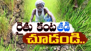 అందని నీరు ఎండుతున్న పైరు | Farmers Worried Crop Loss | Guntur District