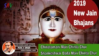 Chintamani Mari Chinta Chur Devotional Audio Song@vipinporwalofficial