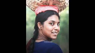 #viduthalai part 1 kaattumalli song WhatsApp status Tamil #illayaraja #viduthalai #kattumalli #love