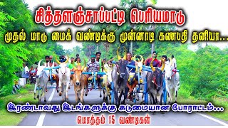 பெரியமாடு புதுக்கோட்டை(மா) கடியாபட்டி மாட்டுவண்டி பந்தயம் 17.09.2022#amutham_studio #rekalarace