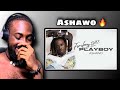 Fireboy DML - Ashawo (Official Visualizer) (Theboyfromojo Reaction)