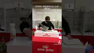 JAPAN REGIONAL CAT SHOW