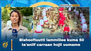 Bishooftuutti lammiilee kuma 50 ta'aniif carraan hojii uumame